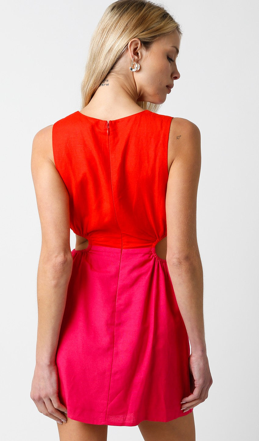 Brynn Cut Out Mini Dress