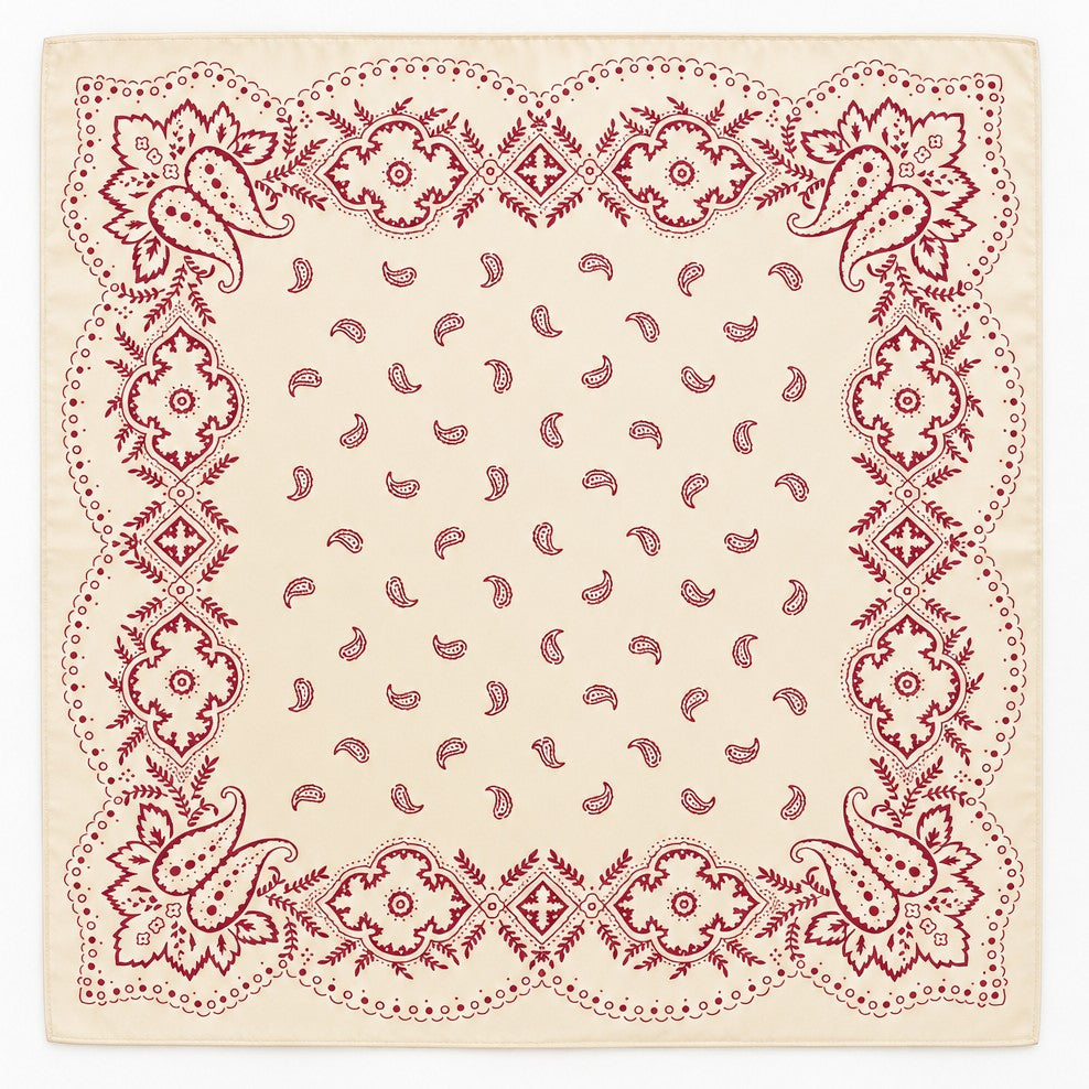 Red Paisley Scarf