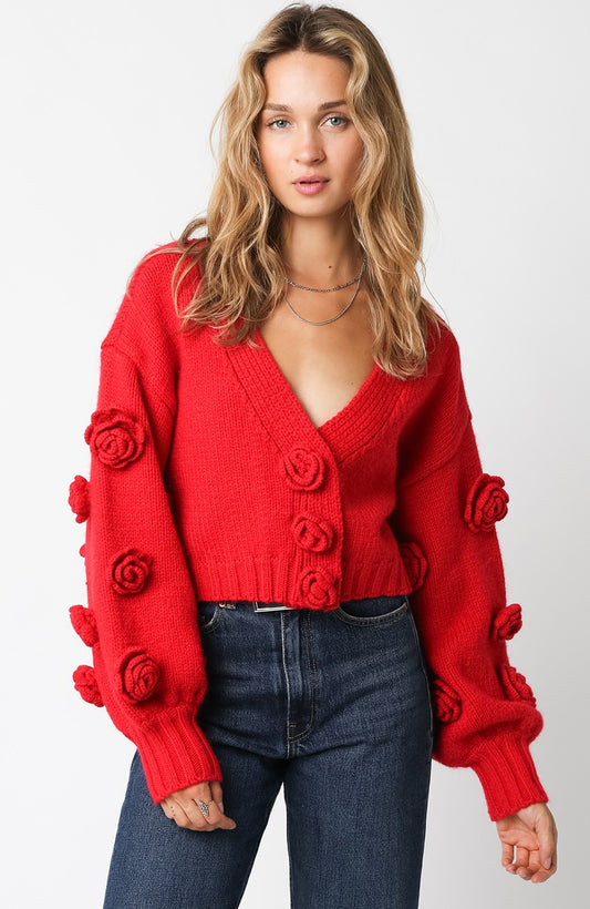 Anastasia Roses Sweater