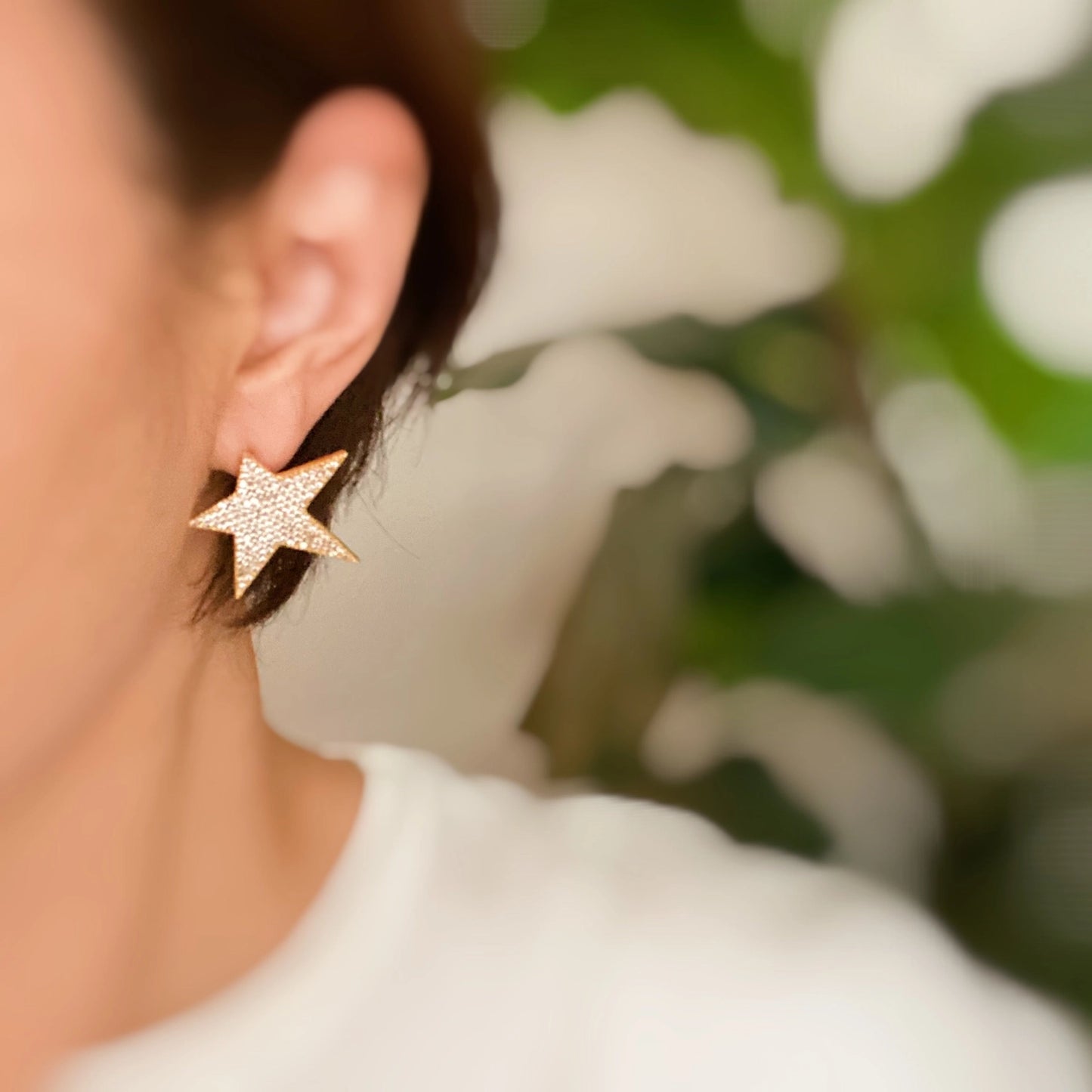 Star Dust Earrings