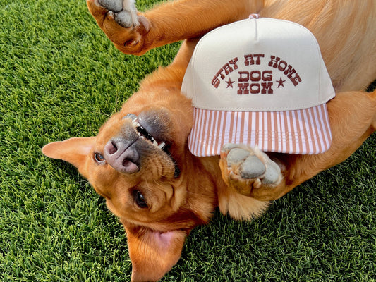 Dog Mom Trucker